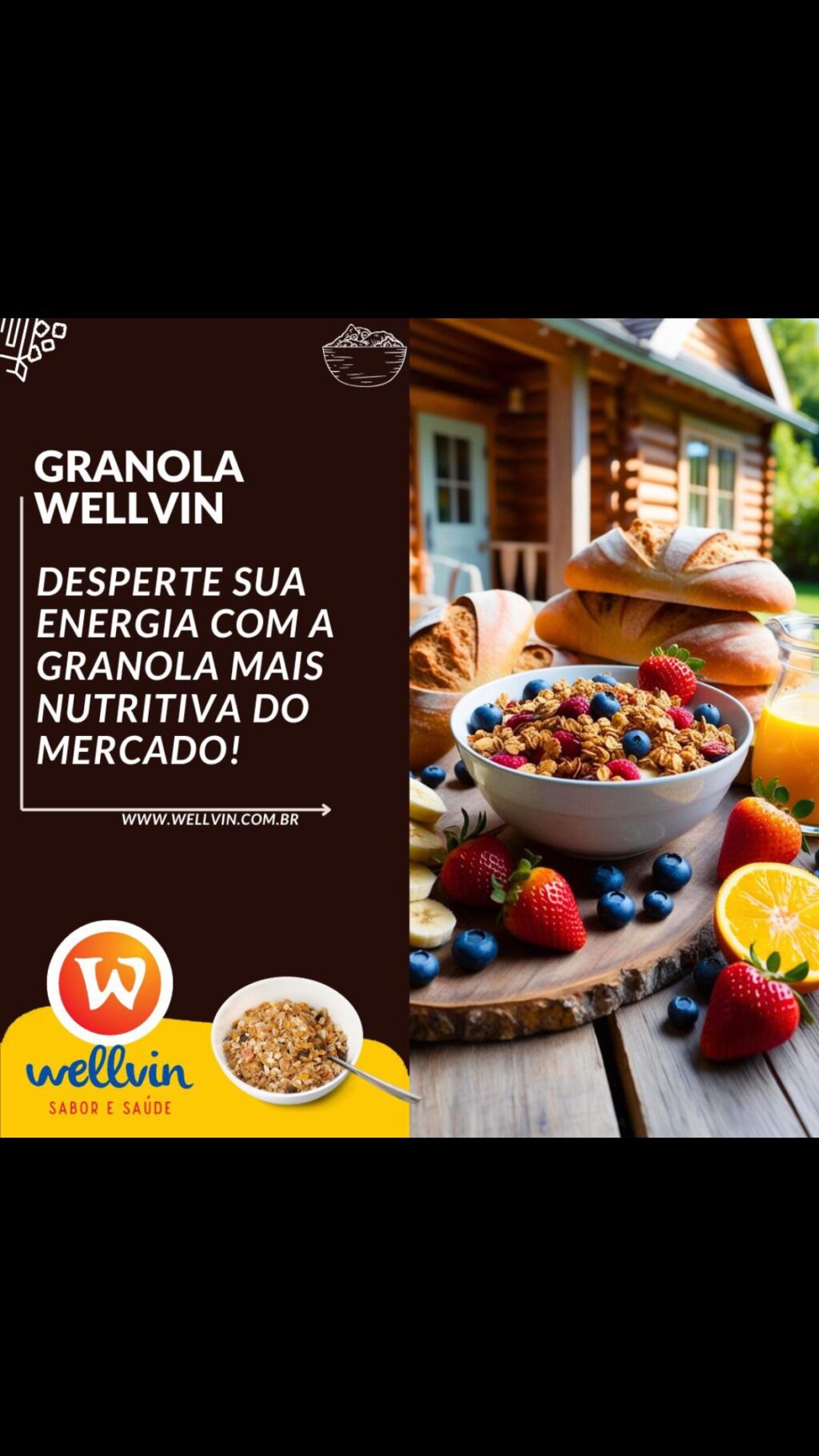 Instagram post from wellvinalimentos. This post is in position 3.