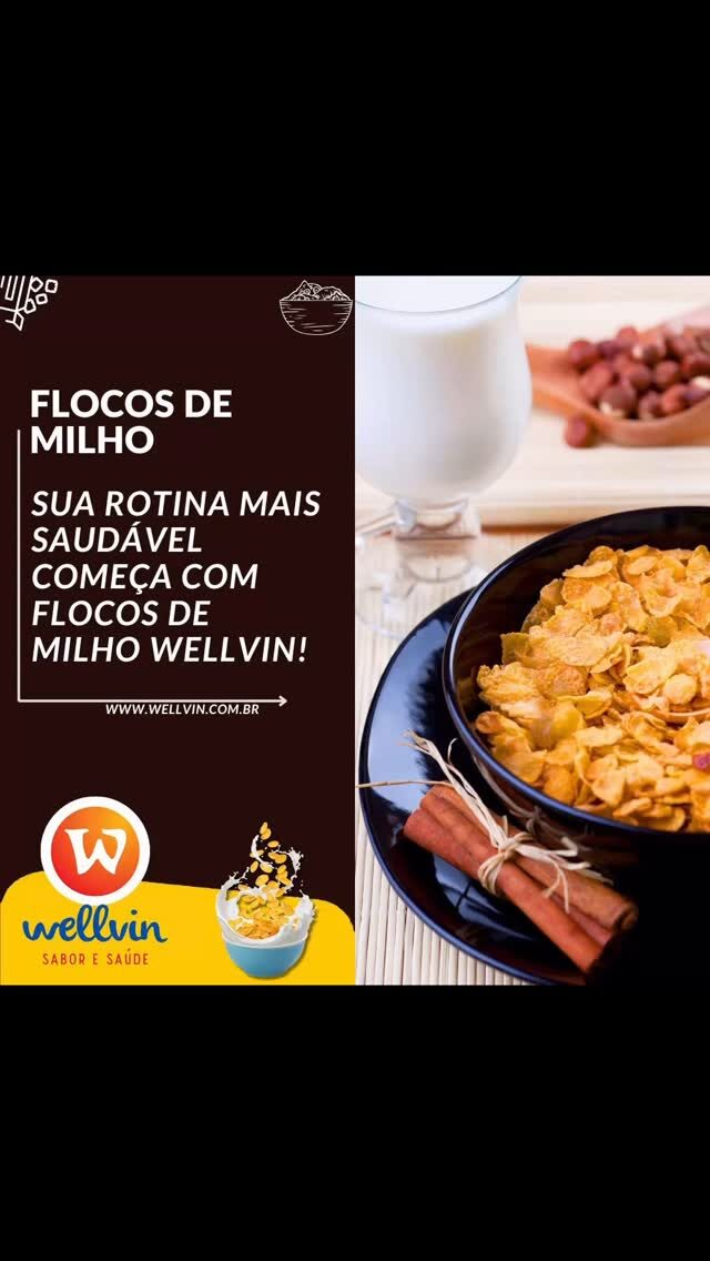 Instagram post from wellvinalimentos. This post is in position 0.