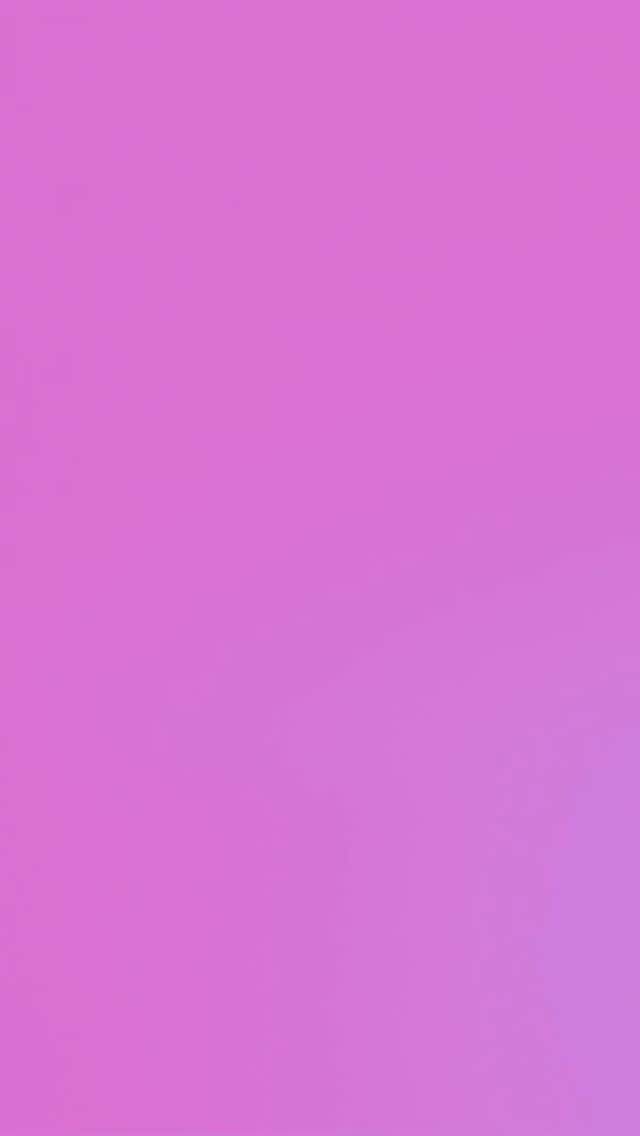 Instagram post from wellvinalimentos. This post is in position 2.